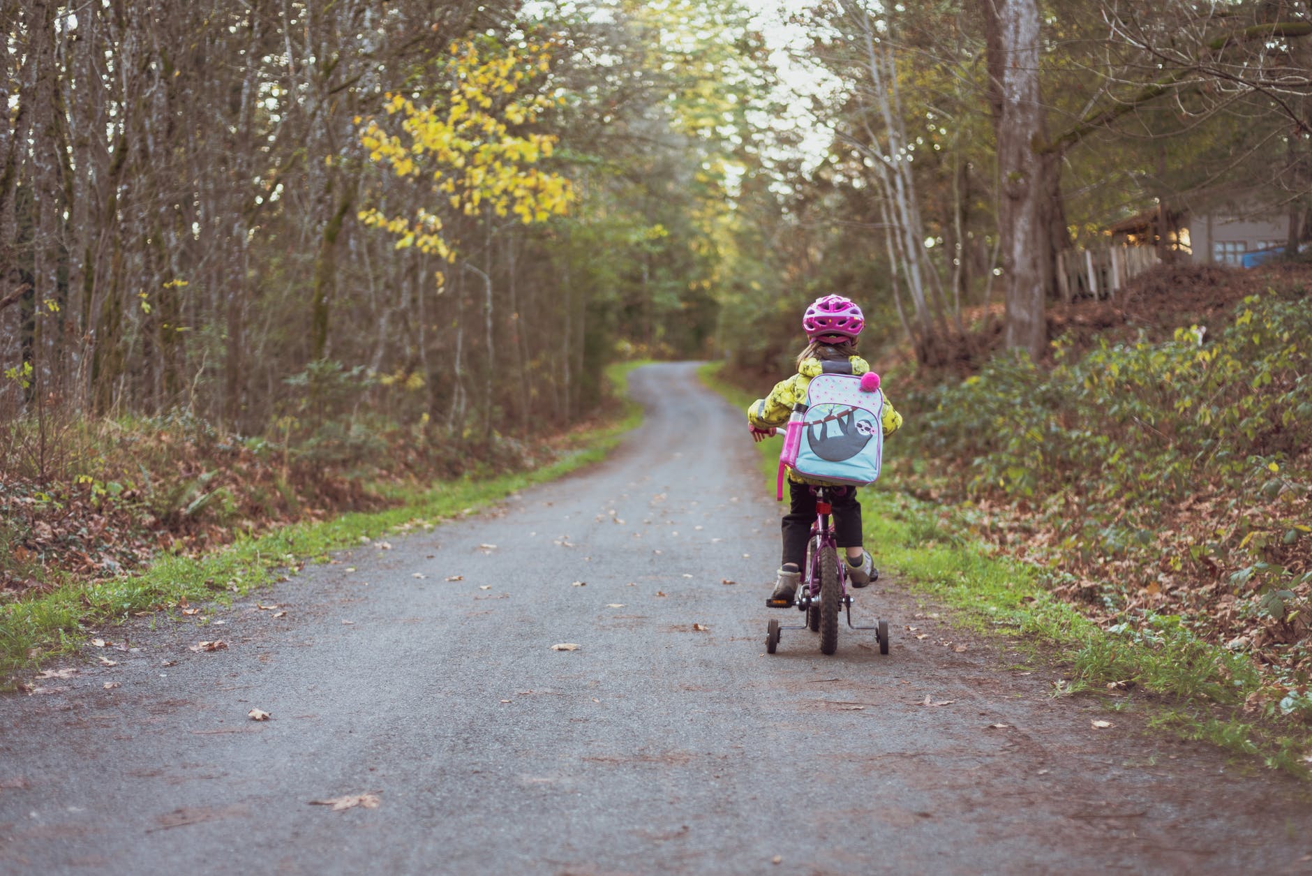 toddler riding bicycle on road